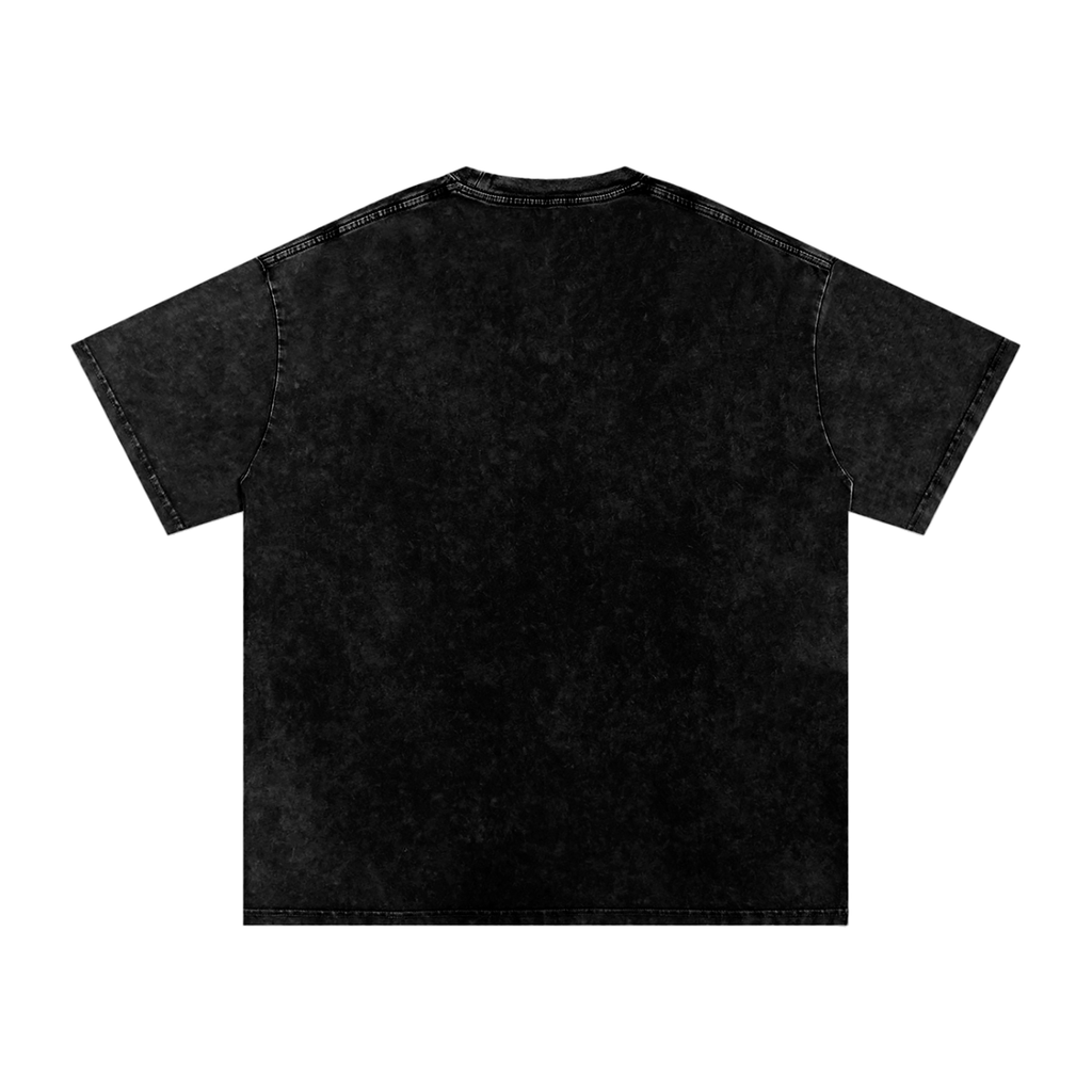 Snow Washed Oversized Tee. Swallows