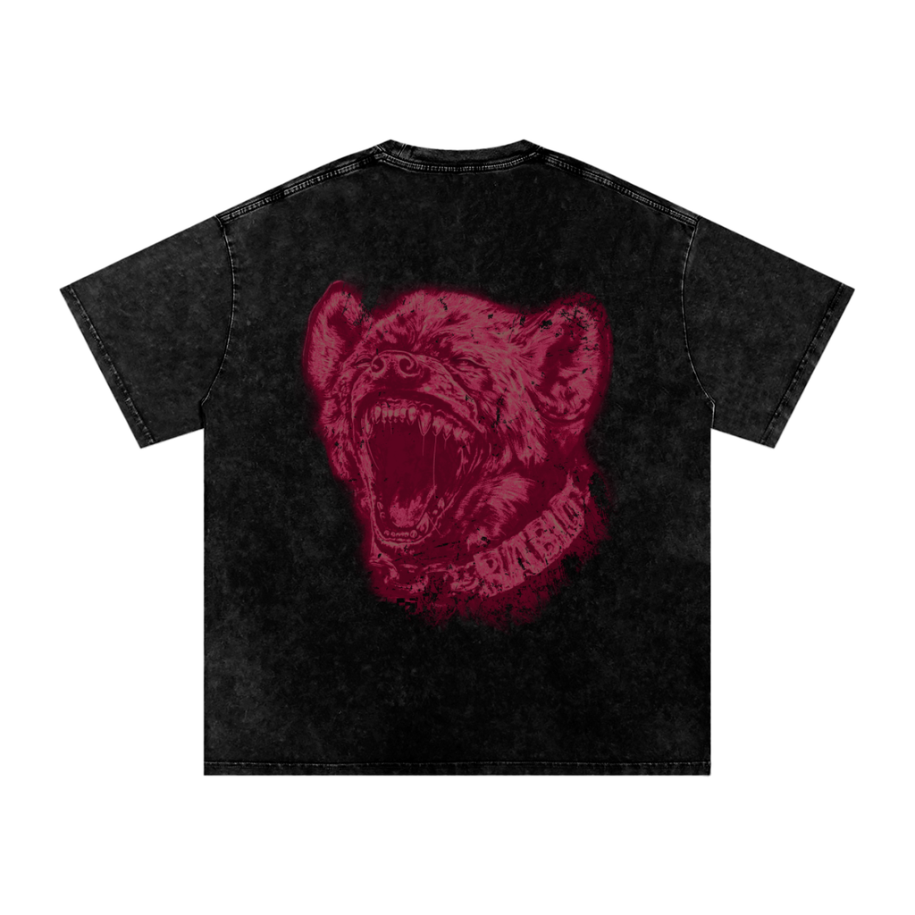 Snow Washed Oversized Tee: Hyena