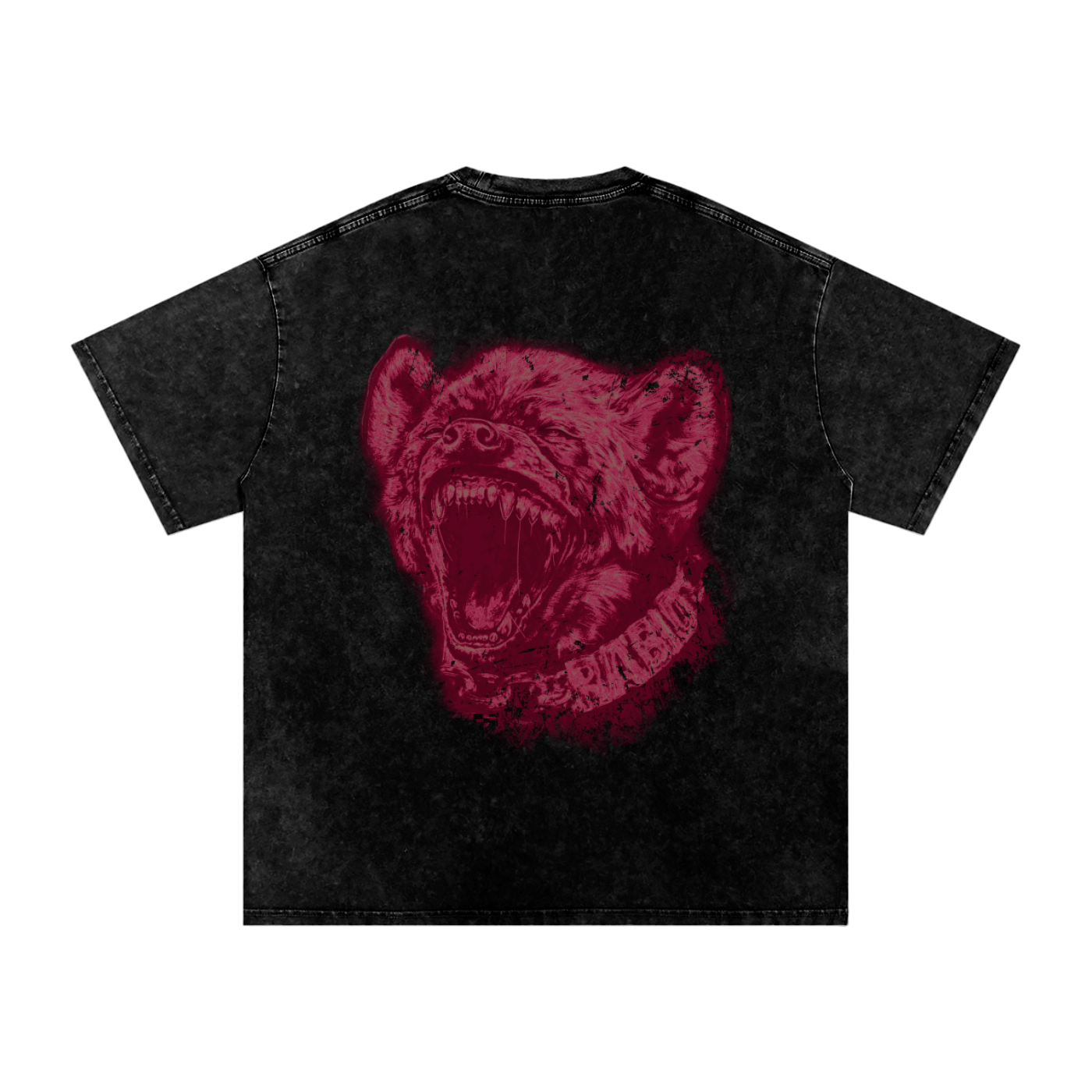 Snow Washed Oversized Tee: Hyena
